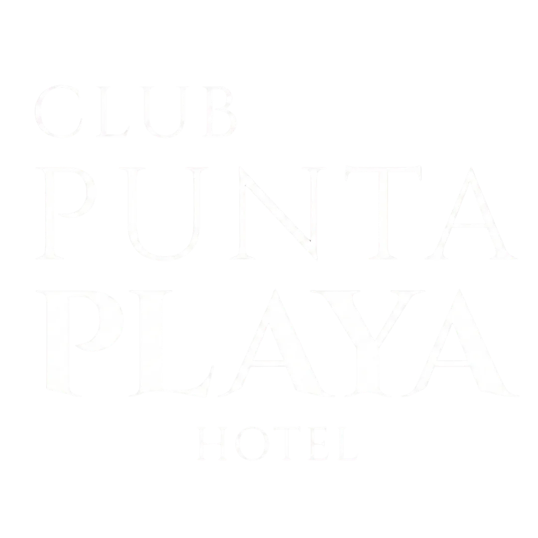 Diseño sin título (31)